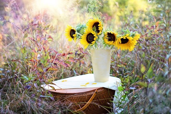 sunflowers-1719119_640.jpg