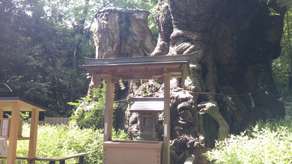 DSCF0140.JPG