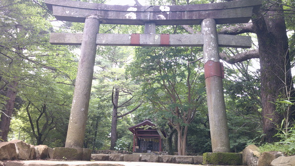 DSCF0170.JPG