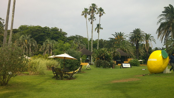 DSCF0181.JPG