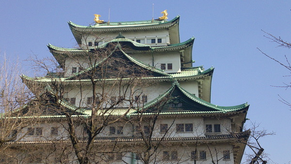 DSCF0590.JPG