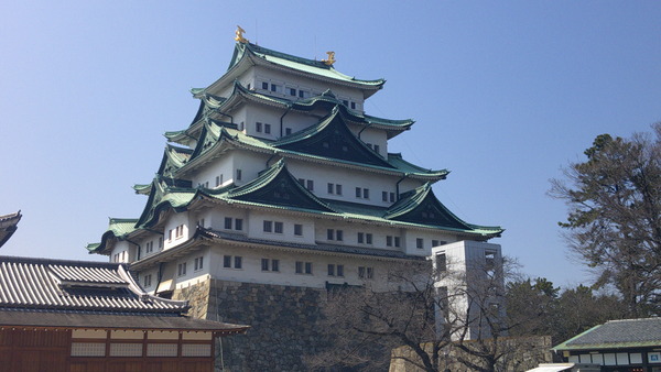 DSCF0591.JPG