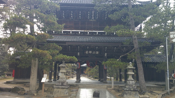 DSCF0610.JPG
