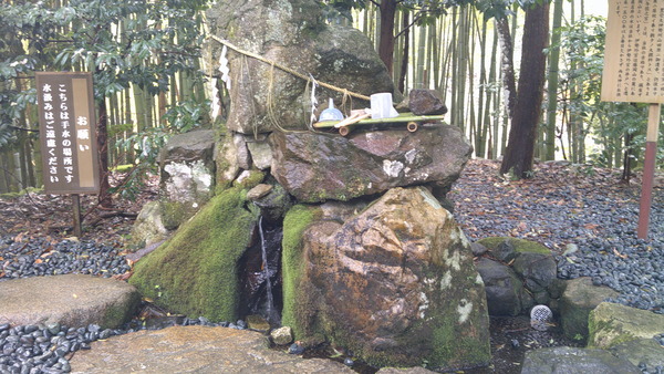 DSCF0625.JPG