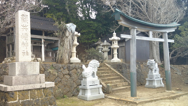 DSCF0697.JPG