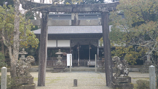 DSCF0706.JPG