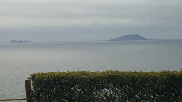 DSCF0731.JPG