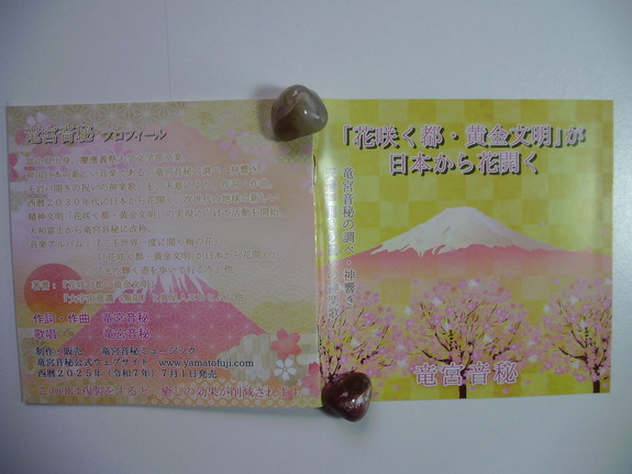 PTDC1468.JPG