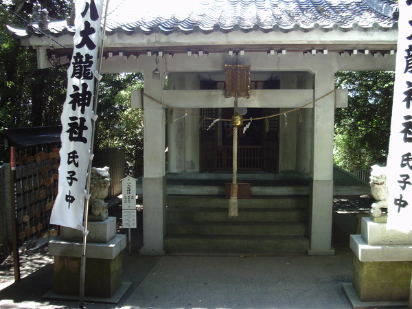 PTDC1945.JPG