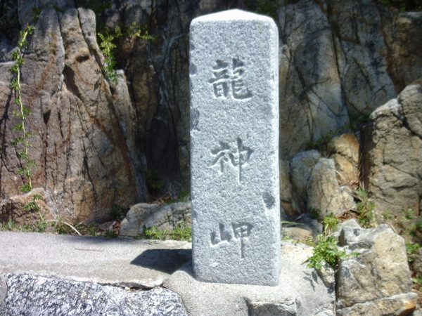 PTDC1954.JPG