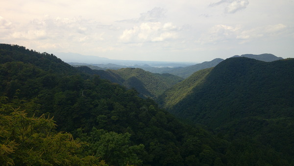 DSCF0078.JPG