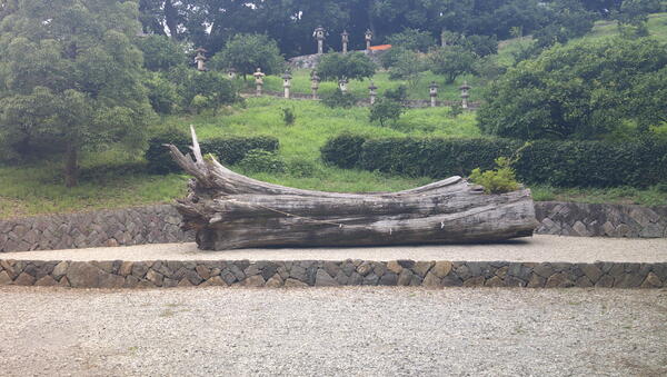 DSCF0114.JPG
